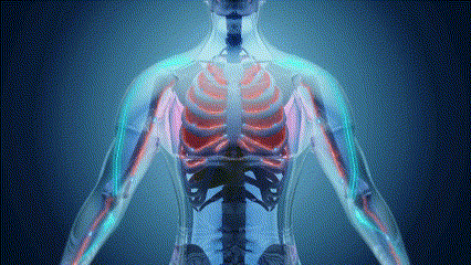 Mitolyn metabolism booster animated GIF showcasing weight loss benefits
